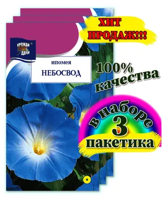 Семена Ипомея Перли Гейтс (а/ф Уральский Дачник) купить за 23 р. в садовом  центре АСТ Медовое