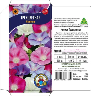 Ипомея батат Флора Мия Блек (Ipomoea Flora Mia Black) купить с доставкой по  Беларуси \"BuonRoza \"