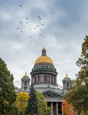 Исаакиевский собор снаружи и внутри 🧭 цена экскурсии 5000 руб., 215  отзывов, расписание экскурсий в Санкт-Петербурге