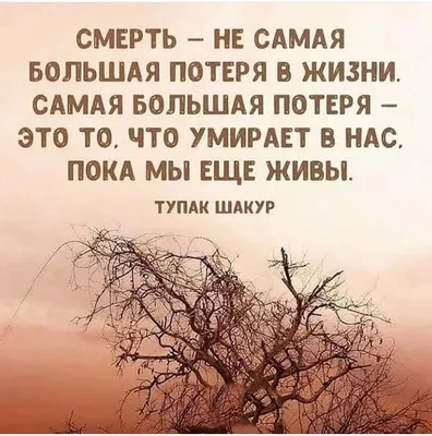 365 дней мотиваций - Ислам - Какой глубокий смысл... Только сердце  верующего останется спокойным! @day365islam #цитатокартинкимуслим | Facebook