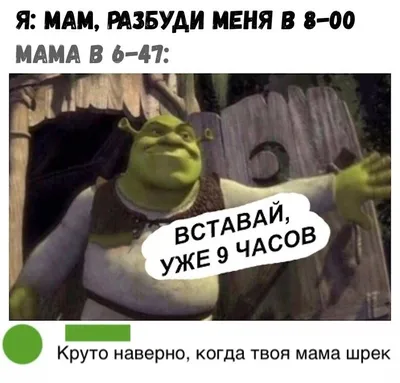 Юмор приколы - 👉Юмор позитив]]]👈Позитив на вес день 😉😉😉... | Facebook