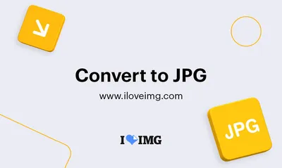 Convert WEBP to JPG online for free