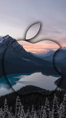 Wallpaper iOS Обои iPhone Обои на твой телефон Лучшие обои | Celestial,  Planets, Celestial bodies