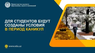 Школьные каникулы 2023-2024: расписание на учебный год | РБК Life