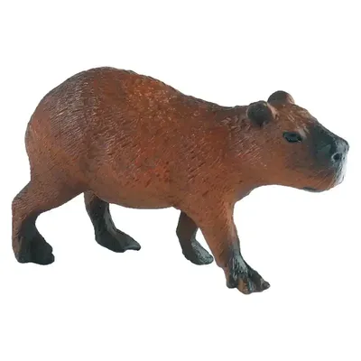 Игрушка мягкая большая Capybara Капибара 147612818 купить за 1 162 ₽ в  интернет-магазине Wildberries