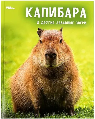 Леденец 'Капибара', 35г