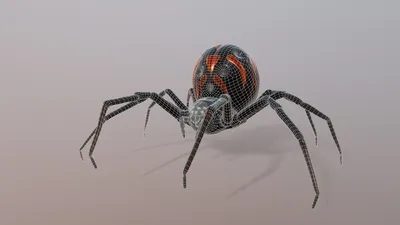 Karakurt latrodectus tredecimguttatus hi-res stock photography and images -  Alamy