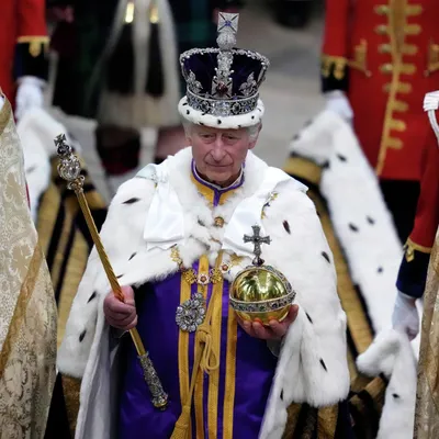 Король Карл оригинально отпраздновал свой настоящий день рождения - 7Дней.ру