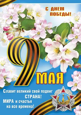 Картинк с 9 мая