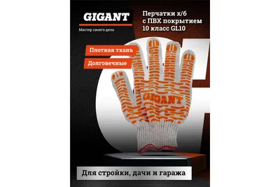 Перчатки х/б с ПВХ Россия Протектор 10 класс, 10пар/уп 67806 - выгодная  цена, отзывы, характеристики, фото - купить в Москве и РФ