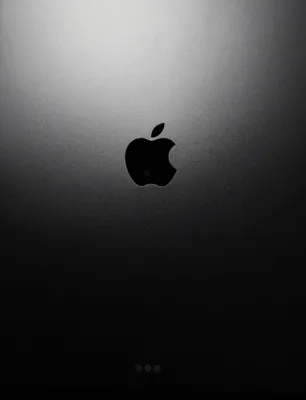 Apple logo computer ipad iphone software Vector Image