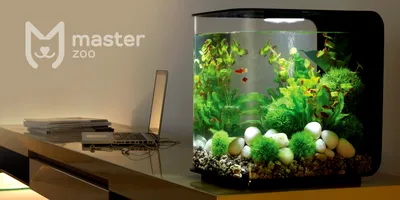 [82+] Картинка аквариум без рыбок обои