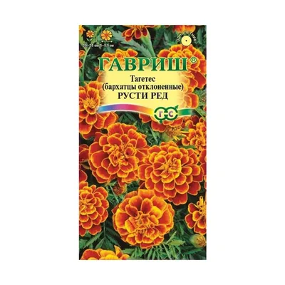 Бархатцы Цветущий сад ЦС Бархатцы ПРЯМОСТОЯЧИЕ - купить по выгодным ценам в  интернет-магазине OZON (437045168)