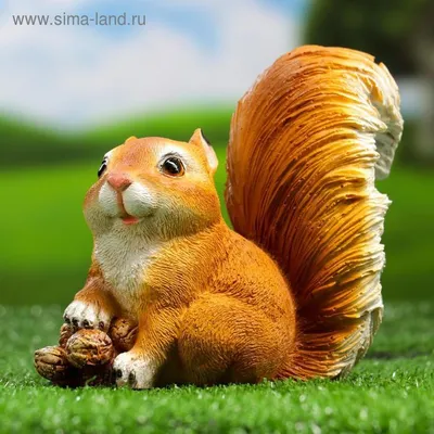 Осенние белочки #squirrel #redsquirrel #awesome_shots #cuteanimals  #vadimtrunov #fabulous_shots #nature_brilliance #animallovers… | Instagram