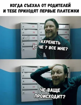 Что у вас здесь происходит? | Пикабу