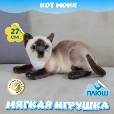 Мягкая игрушка Кошка Моня KiDWoW милый котик для девочек, мальчиков,  малышей, детей, в подарок, для сна (коричневый / 27) - купить с доставкой  по выгодным ценам в интернет-магазине OZON (1152751895)