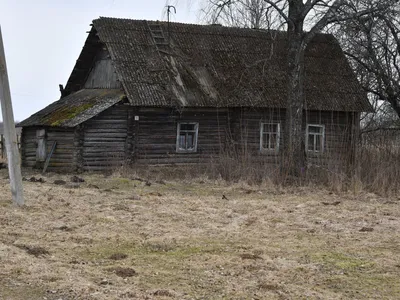 Картина Домик в деревне. Размеры: 40x30, Год: 2021, Цена: 4000 рублей  Художник Полякова Софья Олеговна