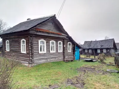 Гостевой дом Домик в деревне - Сергиево-Посадский, Московская область, фото  гостевого дома, цены, отзывы