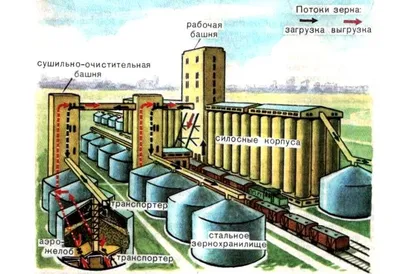 ЭЛЕВАТОР – ВАЖНОЕ ЗВЕНО В ХРАНЕНИИ ЗЕРНА - ГК Эксперт-Агро