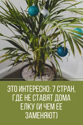 Язык программирования Python: почему это интересно — Планета эрудитов |  Образовательный детский центр