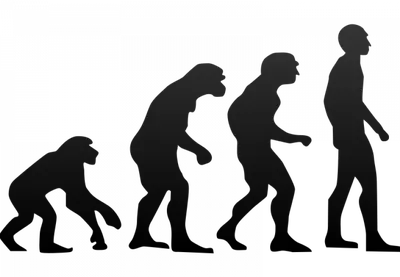 [72+] Картинка эволюция человека обои