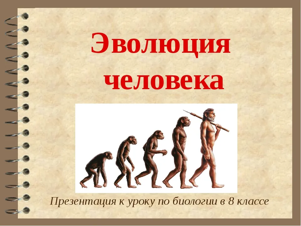 Развитие человека в ходе эволюции. Эволюция человека презентация. Проект на тему Эволюция человека. Этапы развития человека. Эволюция человека 8 класс биология.