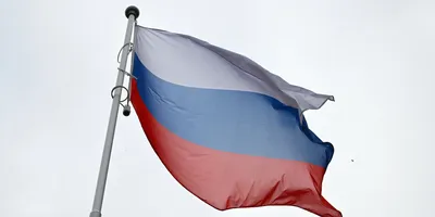 Флаг России — стоковые фотографии и другие картинки Россия - Россия,  Русский флаг, Флаг - iStock