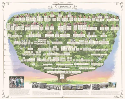 генеалогическое ДРЕВО. Заказать оформление картины родословного дерева.