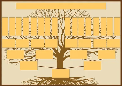 Генеалогическое древо - генеалогическое дерево семьи, цены на составление,  фото