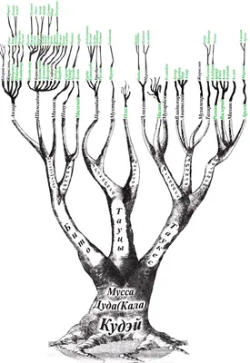 Фон для генеалогического дерева - 77 фото