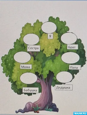 генеалогическое ДРЕВО. Заказать оформление картины родословного дерева.