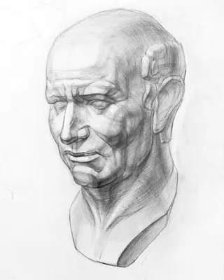 Человеческая голова в 3 взглядах Иллюстрация вектора - иллюстрации  насчитывающей иллюстрация, дело: 121799019