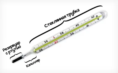 Почему в медицинском градуснике ртуть не опускается при охлаждении? | Мир  Вокруг | Дзен