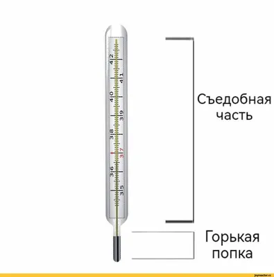 MERIDIAN / Термометр медицинский/ безртутный градусник в футляре/для детей  и взрослых/2 шт - купить с доставкой по выгодным ценам в интернет-магазине  OZON (535645853)