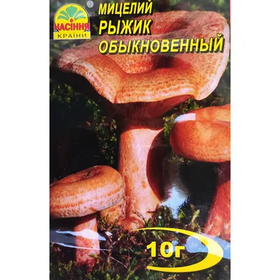 Рыжик сосновый - Lactarius deliciosus - Грибы Уломы Железной