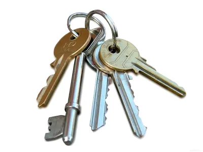 два ключа от квартиры, магнитный и простой, на металлическом кольце, на  белом фоне Stock Vector | Adobe Stock