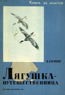 Лягушка-путешественница (1965): купить билет в кино | расписание сеансов в  Санкт-Петербурге на портале о кино «Киноафиша»