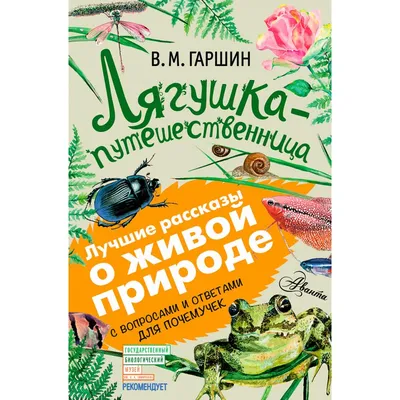 Лягушка-путешественница Сказка-раскраска с наклейками купить по цене 60 р.