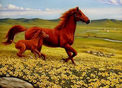 Фото Лошадь с жеребенком бежит по ромашковому лугу / Корейская анималистика/