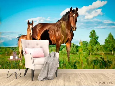 Картина по номерам Лошадь с жеребенком (BRM4365) 40 х 50 см  (ID#1249977579), цена: 298 ₴, купить на Prom.ua