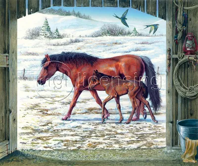 Обои Лошадь с жеребенком на холмах, картинки - Обои для рабочего стола  Лошадь с жеребенком на холмах фото из альбома: (животные)