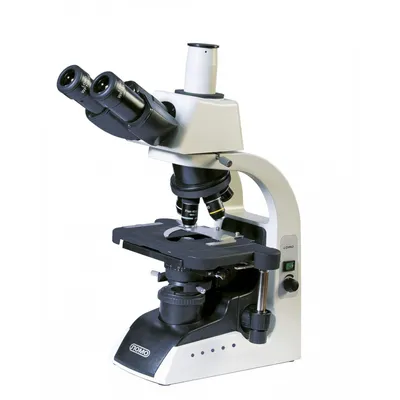 Микроскоп медицинский Биомед 1 – купить в Москве, цена микроскопа  медицинского Биомед 1