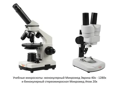 Микроскоп медицинский Биолаб 6T – купить в Москве, цена микроскопа  медицинского Биолаб 6T