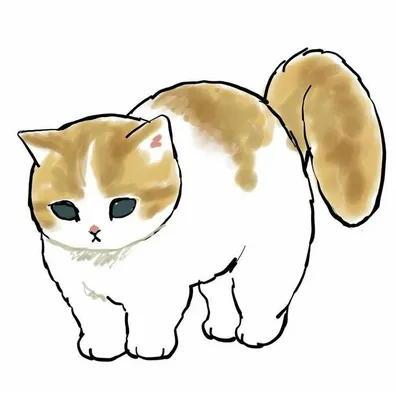 Милый котик 🐈 | Милые котики, Иллюстрации кошек, Кошачьи картины