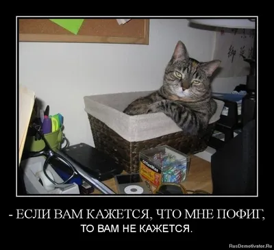 Мне Пофиг - Мне Пофиг added a new photo.