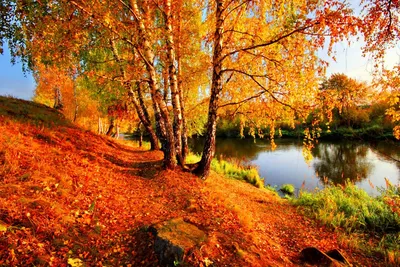 Осенняя картинка с жёлтым листом с вырезанным деревом. Скачать аватар с  парящим над ладонью листиком. — Картинки и авы