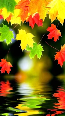 Осень 2021🍁 Лучшие осенние фотографии звезд! | СплетниZa | Дзен