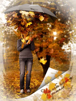 Обои осень, листья, кленовые листья, размытие картинки на рабочий стол,  фото скачать бесплатно