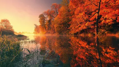 Картинки на аву: осень (26 фото) — Красивые картинки
