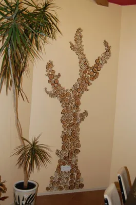 Живая стена из растений в квартире: как сделать живую стену в квартире -  Блог The Plant